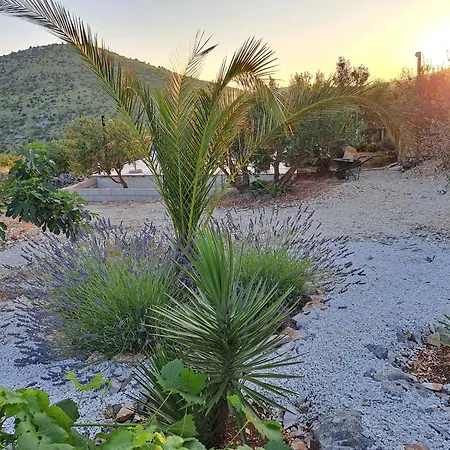 Villa Casa Mia Gornji Seget